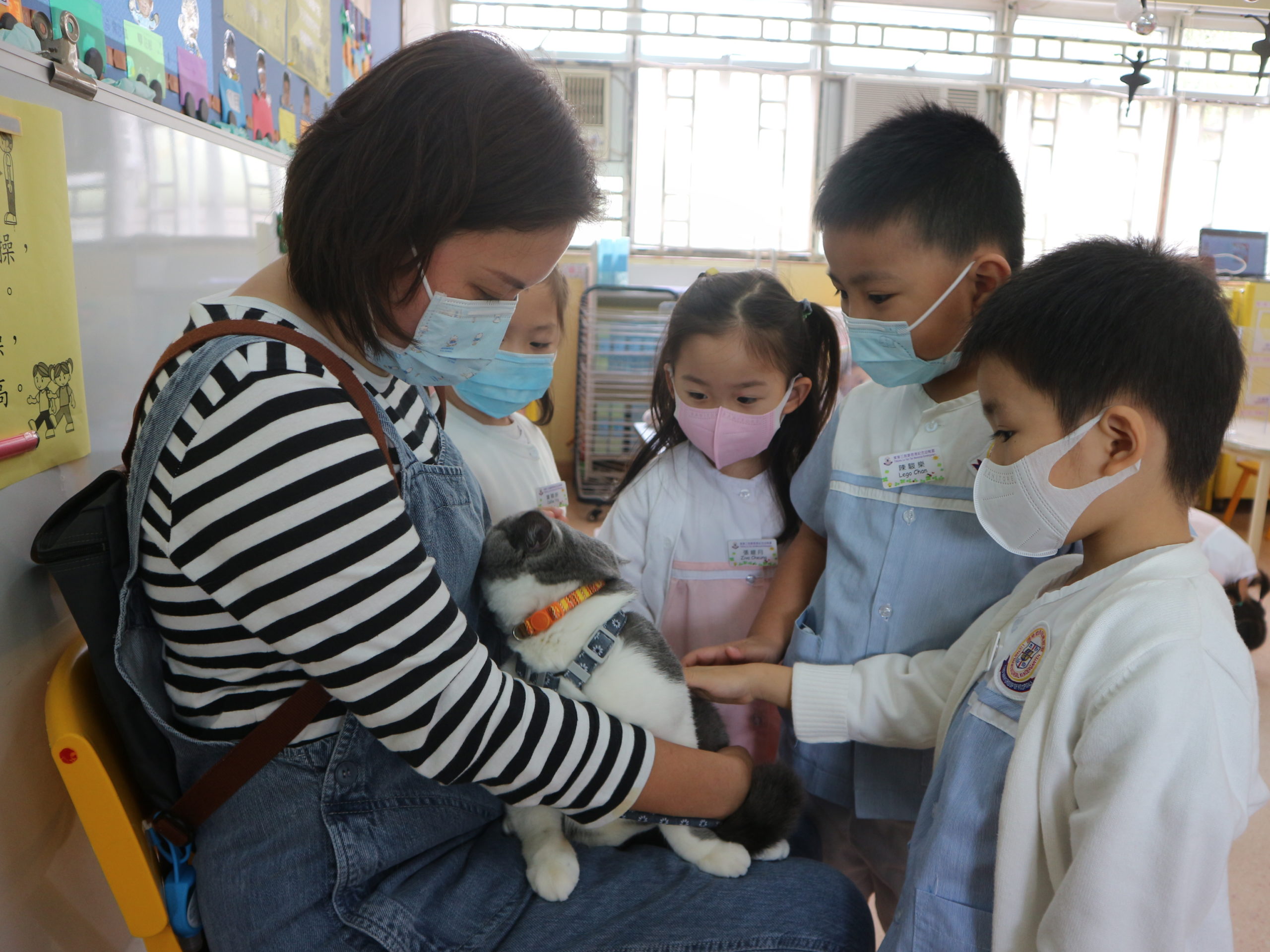 幼兒班活動「小動物分享」