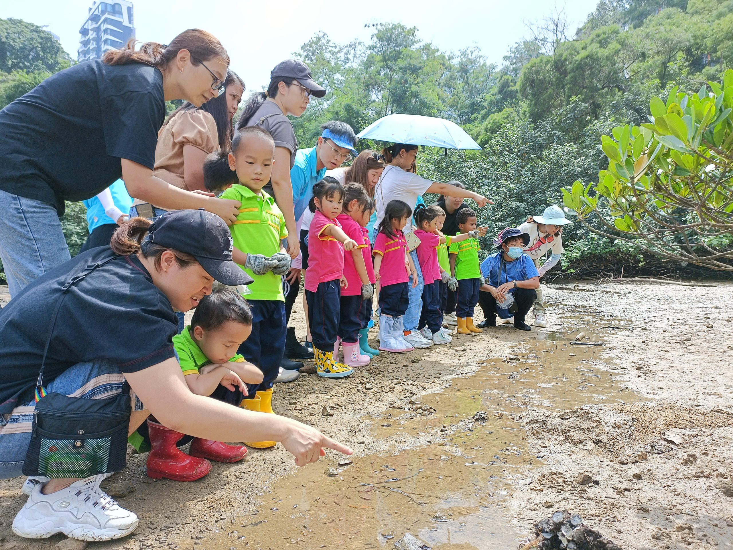 親子泥灘探索活動