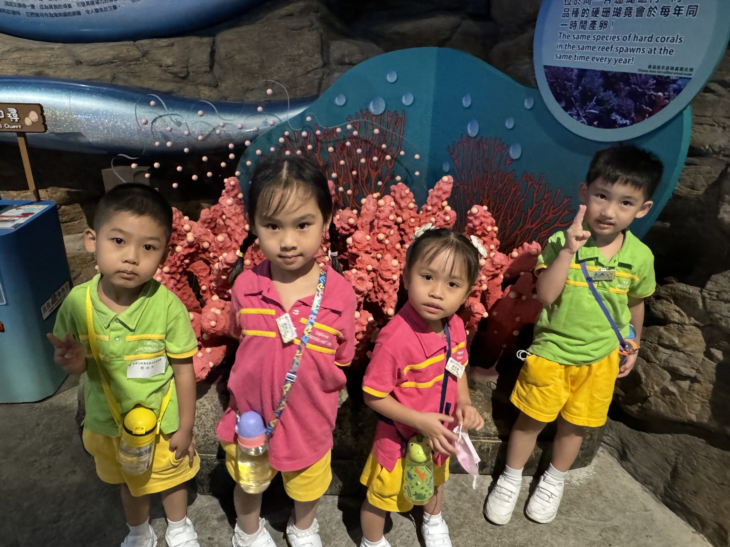 戶外學習活動「海洋公園自然探索學堂」