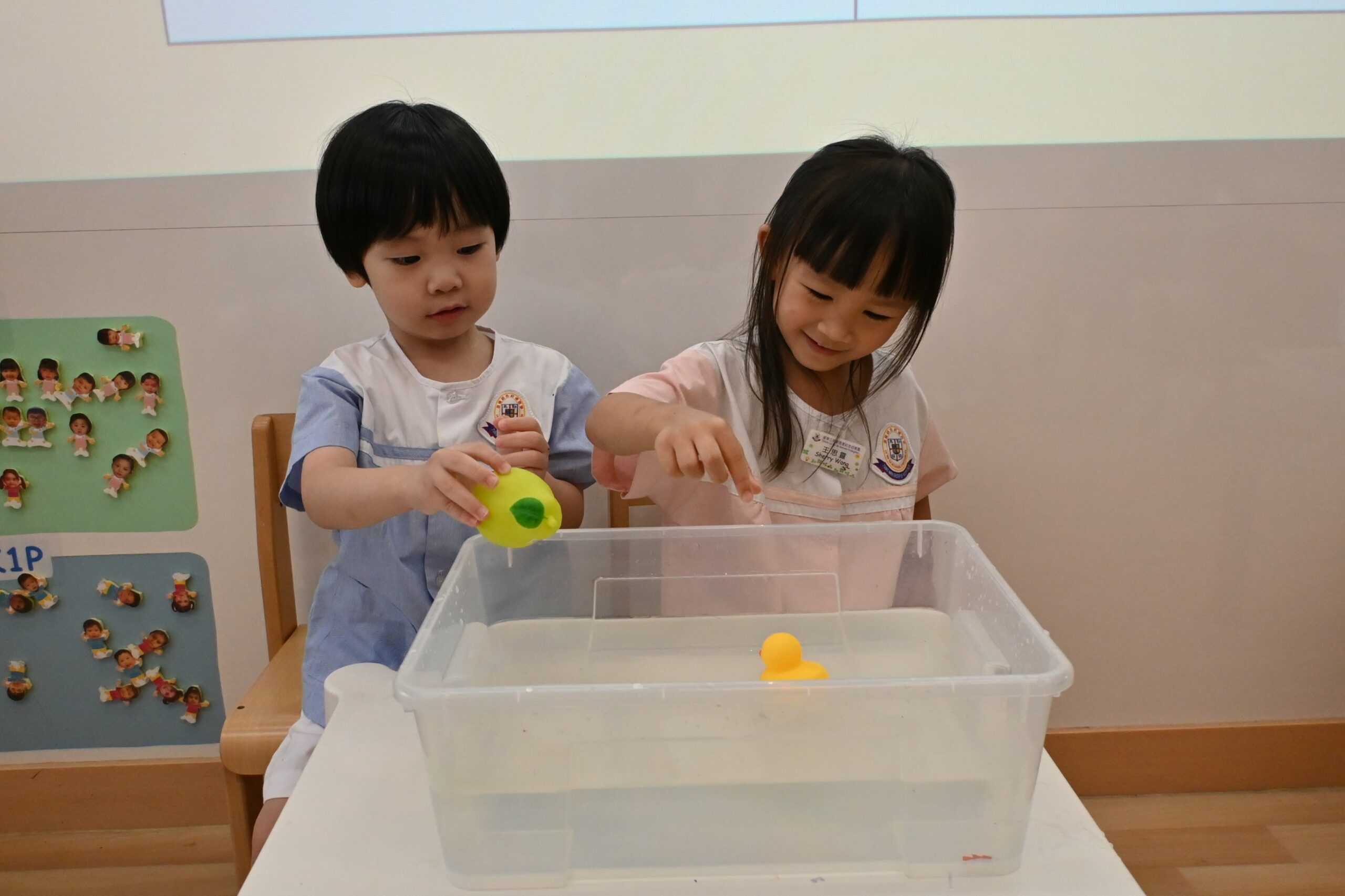 幼兒班探索活動「浮和沉」